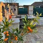 Casa Oliva 公寓 托卡伊