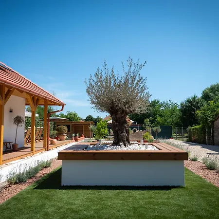 Casa Oliva
