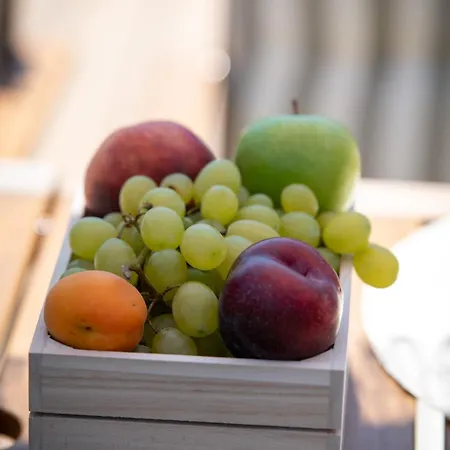 דירה Casa Oliva טוקאי