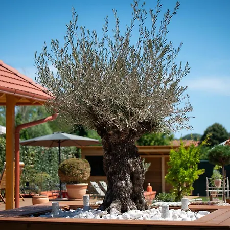 Casa Oliva דירה *