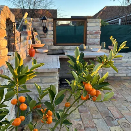 Casa Oliva דירה טוקאי