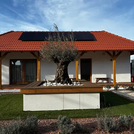 Casa Oliva Lejlighed Tokaj