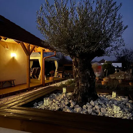 Casa Oliva 아파트