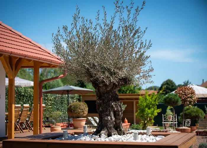 Casa Oliva Daire *